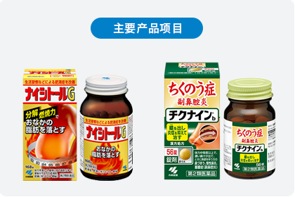 主要产品项目