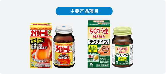 主要产品项目